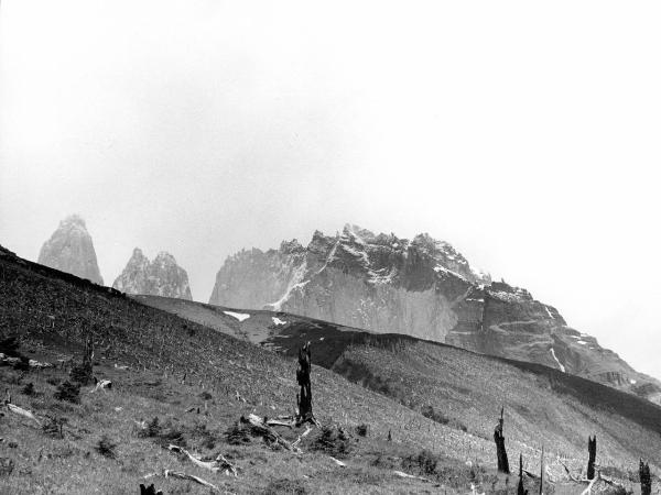 Patagonia cilena - Provincia di Ultima Esperanza - Ande patagoniche - Massiccio del Paine - Torri del Paine - Foresta bruciata