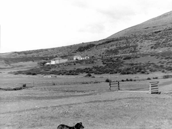 Patagonia cilena - Provincia di Ultima Esperanza - Ande patagoniche - Pampa