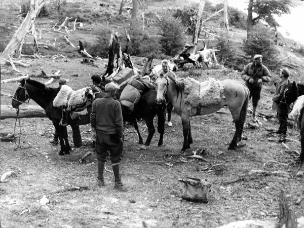 Patagonia cilena - Provincia di Ultima Esperanza - Ande patagoniche - Massiccio del Paine - Paine principale - Campo base - Foresta bruciata - Uomini - Medico - Covacevich, Emilio - Cavalli