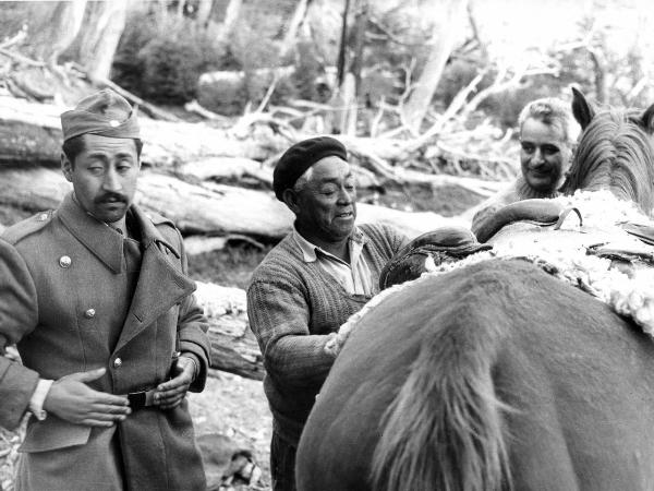 Ritratto di gruppo - Marconista - Cabeza, Belisario - Medico - Covacevich, Emilio - Patagonia cilena - Provincia di Ultima Esperanza - Ande patagoniche - Massiccio del Paine - Paine principale - Campo base - Foresta bruciata- Cavallo