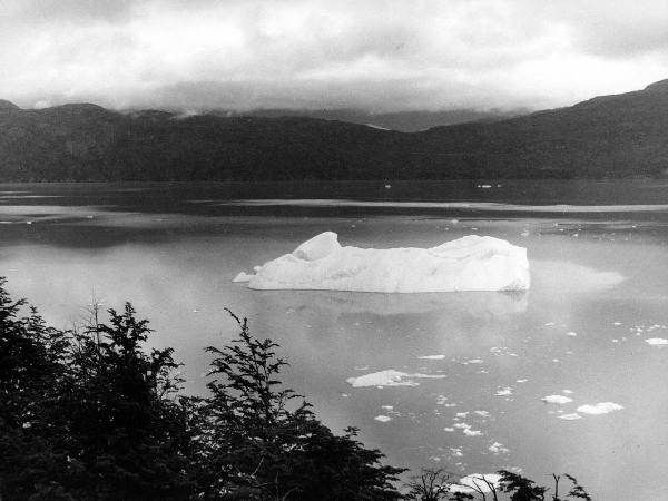 Patagonia cilena - Provincia di Ultima Esperanza - Lago - Grey - Icebergs