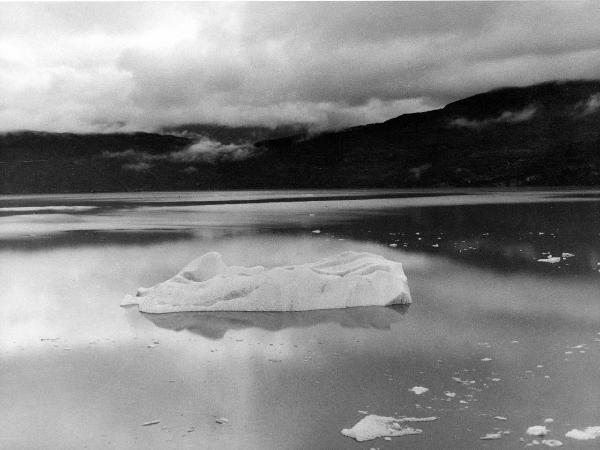 Patagonia cilena - Provincia di Ultima Esperanza - Lago - Grey - Icebergs