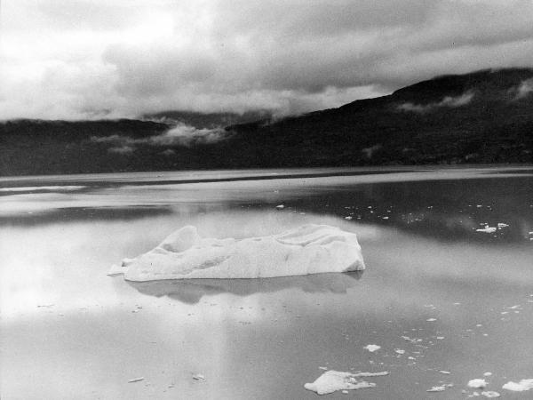 Patagonia cilena - Provincia di Ultima Esperanza - Lago - Grey - Icebergs