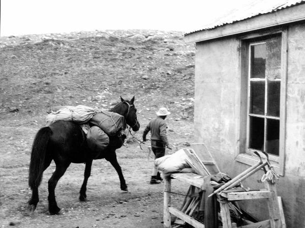 Patagonia cilena - Provincia di Ultima Esperanza - Ande patagoniche - Massiccio del Paine - Baracca - Uomo - Cavallo