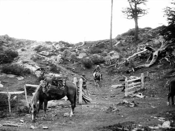 Ritratto - Uomo - Monzino, Guido - Patagonia cilena - Provincia di Ultima Esperanza - Ande patagoniche - Massiccio del Paine - Paine principale - Campo base - Foresta bruciata - Cavalli