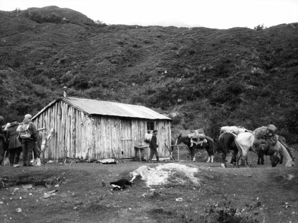 Patagonia cilena - Provincia di Ultima Esperanza - Ande patagoniche - Massiccio del Paine - Torri del Paine - Uomini - Bivacco - Cavalli