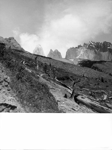 Patagonia cilena - Provincia di Ultima Esperanza - Ande patagoniche - Massiccio del Paine - Torri del Paine - Foresta bruciata