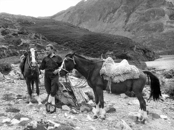 Ritratto - Uomo - Monzino, Guido - Patagonia cilena - Provincia di Ultima Esperanza - Ande patagoniche - Puesto Pudeto? - Lago - Nordenskjold? - Cavalli