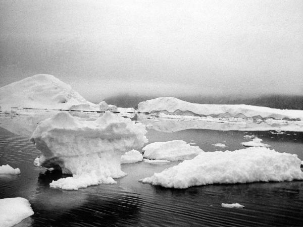 Groenlandia occidentale - Nord dell'Oceano Atlantico - Baia di Baffin - Icebergs