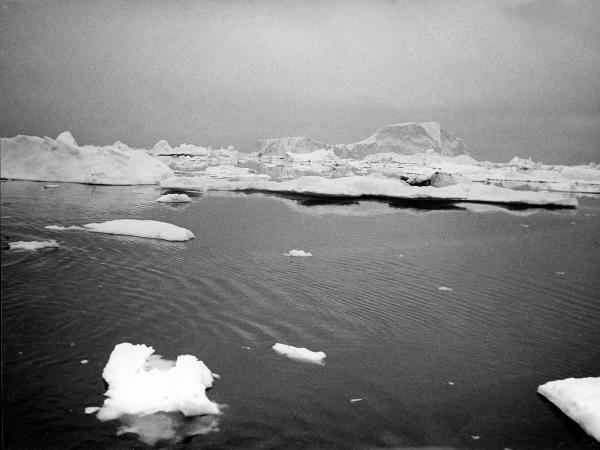 Groenlandia occidentale - Nord dell'Oceano Atlantico - Baia di Baffin - Icebergs