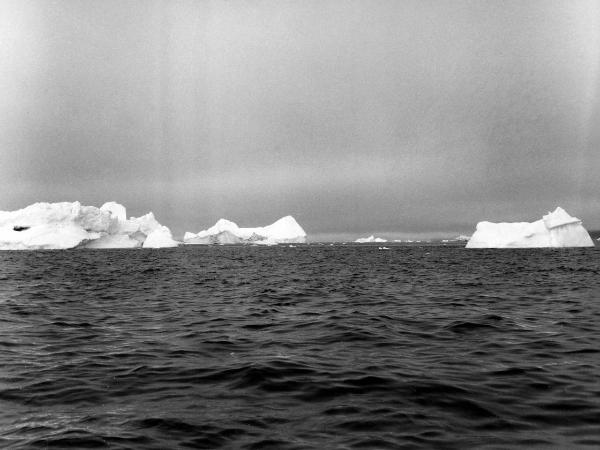 Groenlandia occidentale - Nord dell'Oceano Atlantico - Baia di Baffin - Icebergs