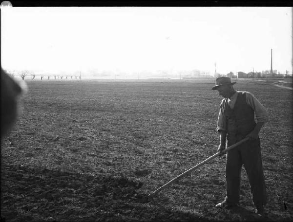 Mantova - Campo agricolo