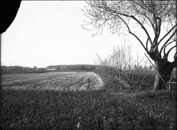 Mantova - Campo agricolo