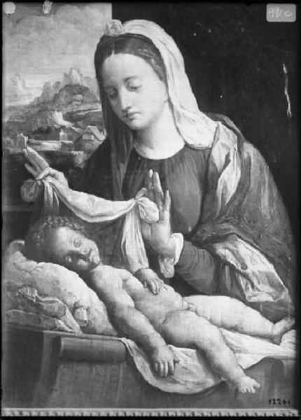 Dipinto - Madonna col Bambino - Mantova - Museo di Palazzo Ducale