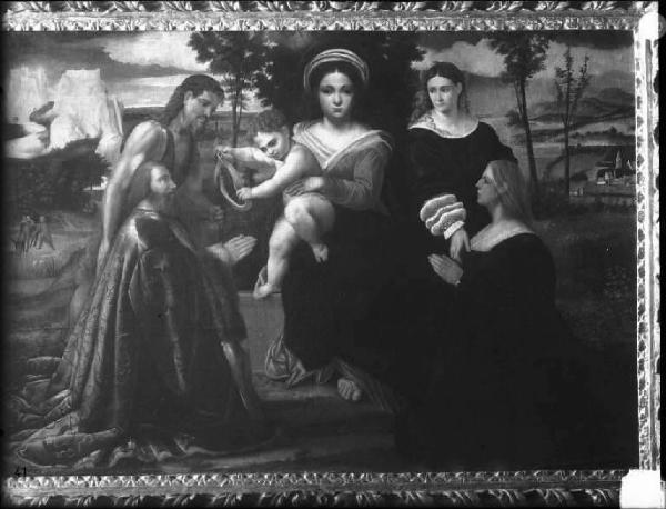 Dipinto - Madonna col Bambino, santi e donatori - Francesco Torbido - Mantova - Museo di Palazzo Ducale