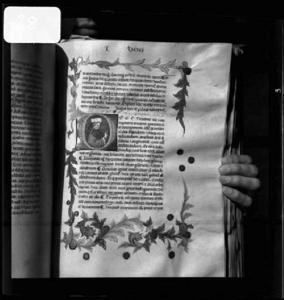 Mantova - Biblioteca Comunale - Aristoteles: opera philosophica. Liber de generatione et corruptione - Pagina miniata