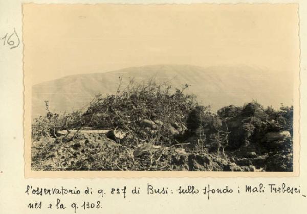 Busi - Mali Trebescines