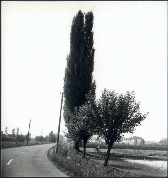 Acquanegra sul Chiese - Strada per Calvatone - Viale d'ingresso alla Cascina Serra