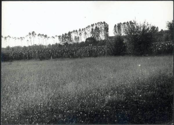 Acquanegra sul Chiese - Prato, campi