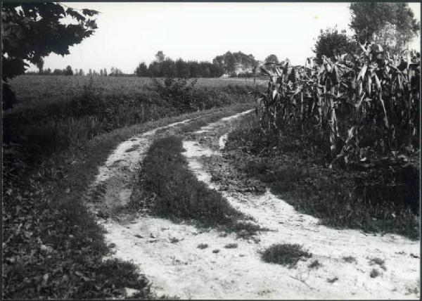 Acquanegra sul Chiese - Strada in mezzo ai campi