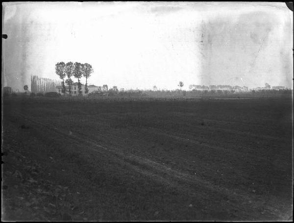 Cerese, zona - Valle del Paiolo - Campi