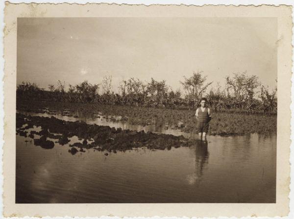 Moglia - Bacino Fossetta Campolungo - Fondo Mortizzo - Alluvione