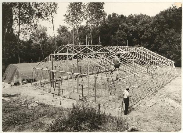 Mantova - Bosco Virgiliano - Serre della Sezione giardini del Comune - Costruzione di una serra