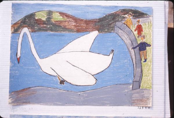 Disegno - Cigno in un lago