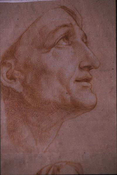 Disegno - Studio di testa - Giuseppe Bottani - Mantova - Archivio di Stato