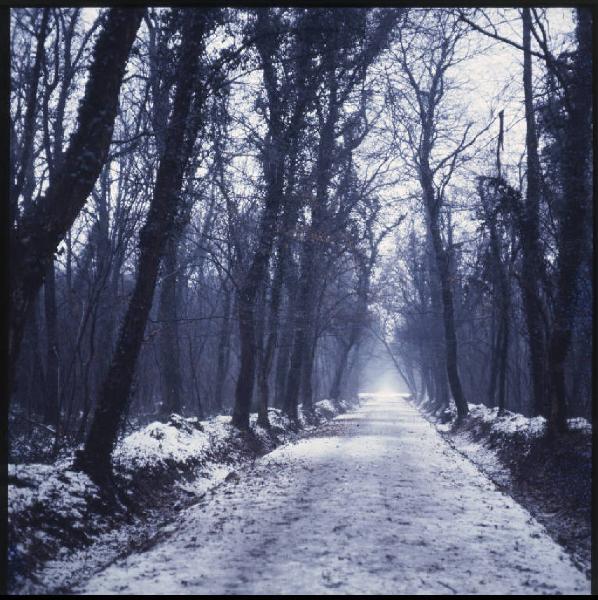 Marmirolo - Bosco della Fontana