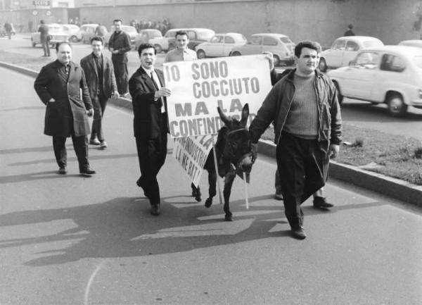 Sciopero nazionale unitario dei lavoratori metallurgici per il contratto - Corteo da Sesto San Giovanni a Milano - Asino in corteo - Cartelli di protesta