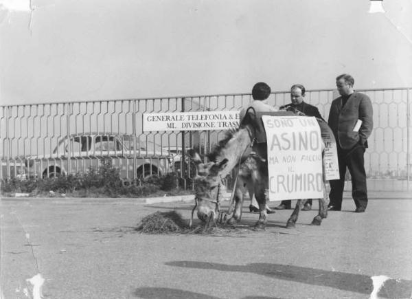 Sciopero dei lavoratori della Gte - Asino davanti alla fabbrica - Cartelli di protesta