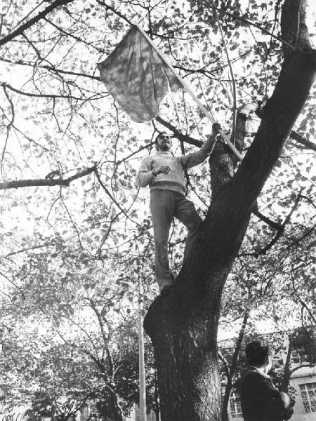 Sciopero dei lavoratori contro il cottimo - Lavoratore su un albero con bandiera