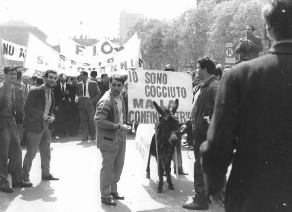 Sciopero nazionale unitario dei lavoratori metallurgici per il contratto - Corteo da Sesto San Giovanni a Milano - Asino in corteo - Striscioni della Fiom