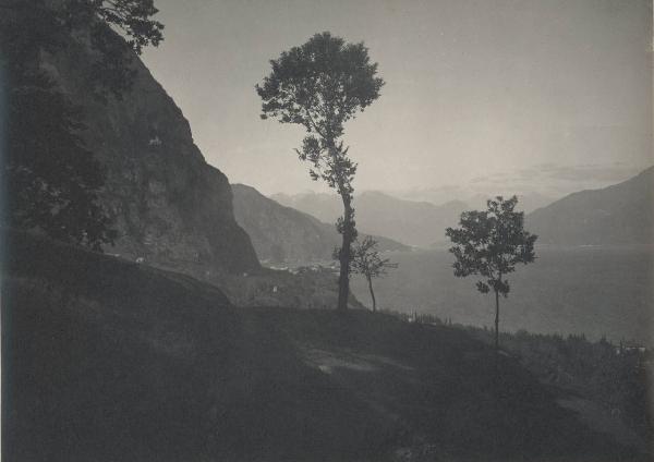 Paesaggio. Lago di Como - Griante - Cadenabbia - parco naturale di San Martino