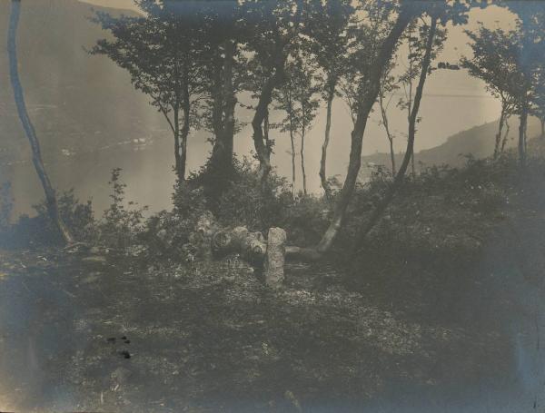 Paesaggio. Lago di Lugano - Veduta da Serpiano