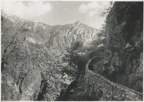 Paesaggio. Mandello del Lario - Somana - Sentiero di montagna con alpigiani