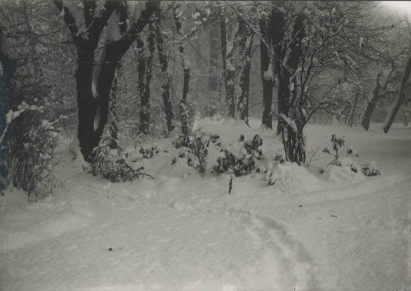 Paesaggio. Milano - Giardini della Guastalla sotto la neve