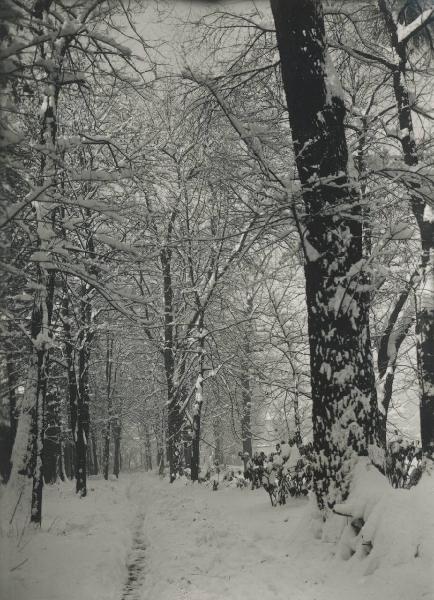 Paesaggio. Milano - Giardini della Guastalla sotto la neve