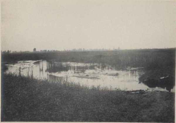 Paesaggio. Novate Mezzola - Panorama