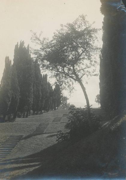 Paesaggio. Bellagio - Loppia - Giardino di Villa Giulia