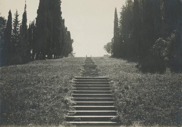 Paesaggio. Bellagio - Loppia - Giardino di Villa Giulia