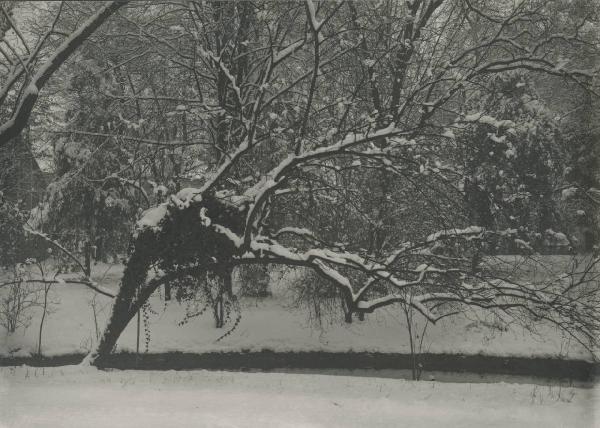 Paesaggio. Milano - Giardino di palazzo Sormani in Corso di Porta Vittoria