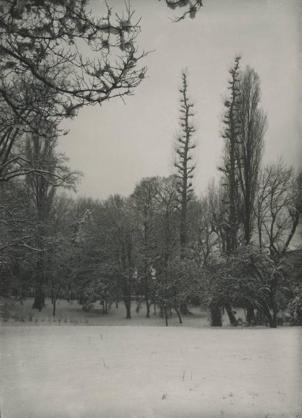 Paesaggio. Milano - Giardino di palazzo Sormani in Corso di Porta Vittoria