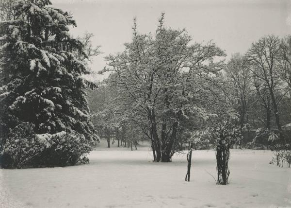 Paesaggio. Milano - Giardino di palazzo Sormani in Corso di Porta Vittoria