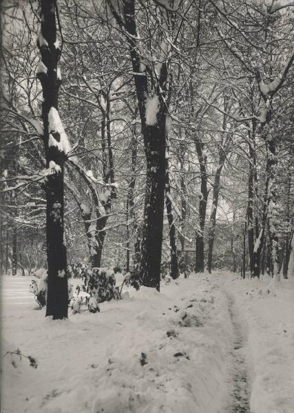 Paesaggio. Milano - Giardini della Guastalla sotto la neve