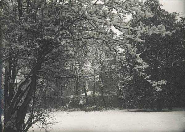 Paesaggio. Milano - Giardino di palazzo Sormani in Corso di Porta Vittoria