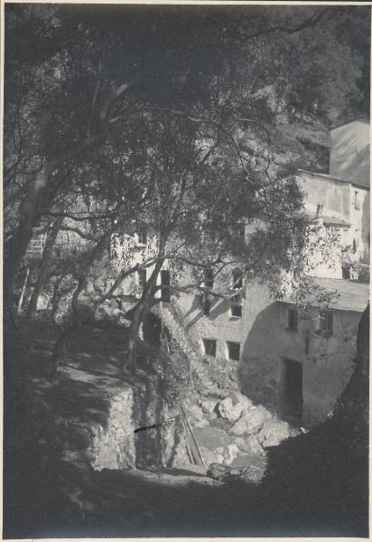 Paesaggio. Camogli - San Fruttuoso - Veduta