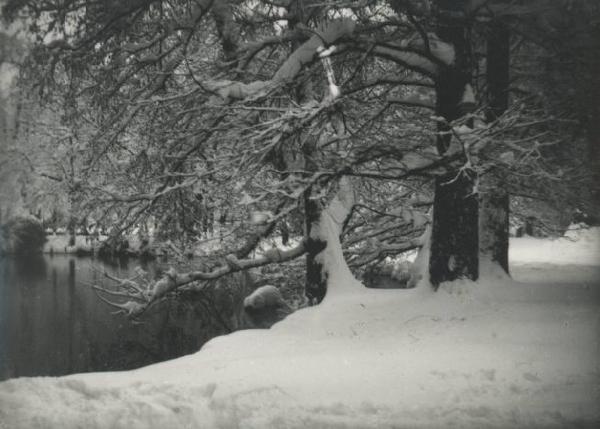 Paesaggio. Milano - Giardini pubblici sotto la neve