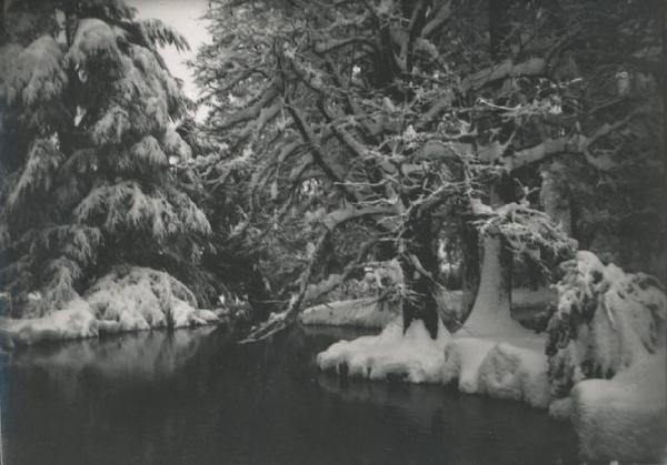 Paesaggio. Milano - Giardini pubblici sotto la neve